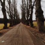 roadway roadway