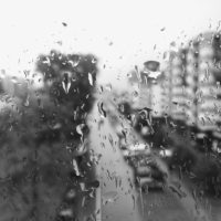 rainy day thru the window