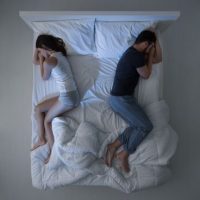 Bed Bed